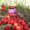 pop up cangrejo de rio 1kg