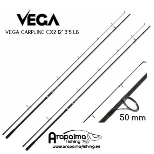 vega cx2 2 rod