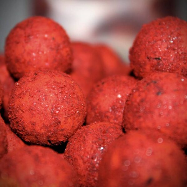 Boilies bloody mulberry 1