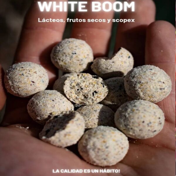 white boom