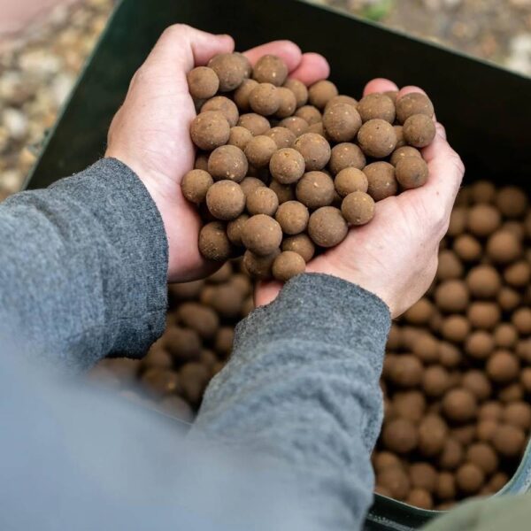 nash scopex squid boilies 2024