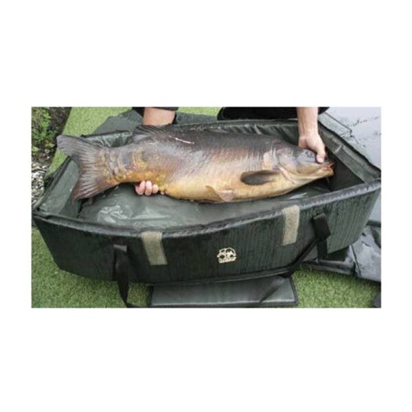 Behr Cradle Carp