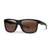 csn053 fox collection sunglasses black and green brown lens